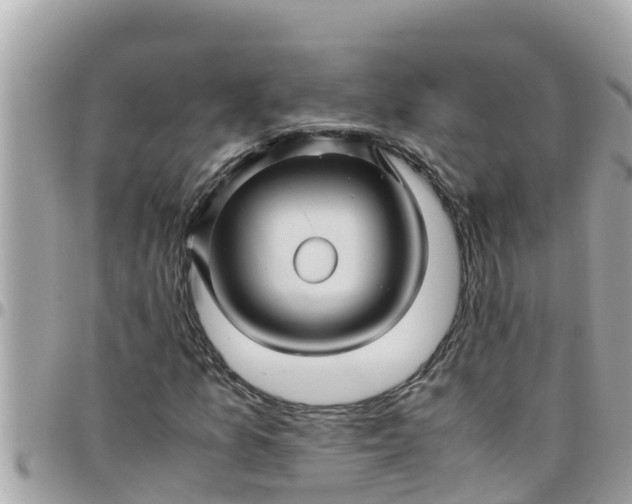 X0000097761157200803211708