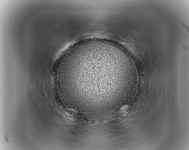 X0000097761159200803211708