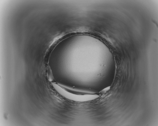 X0000097761160200803211708