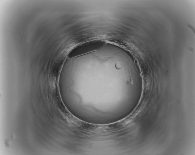 X0000097761161200803211708