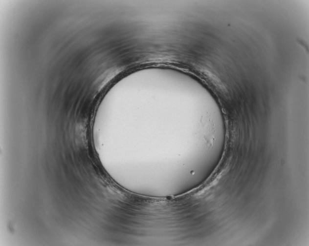 X0000097761162200803211708