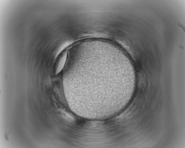 X0000097761163200803211708