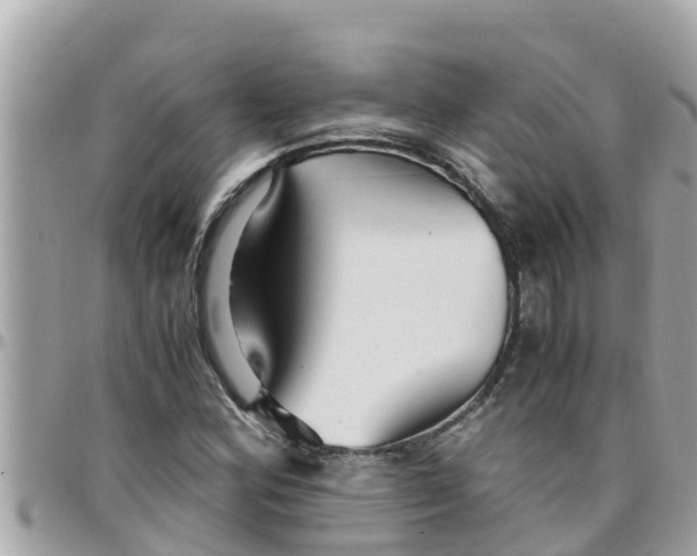 X0000097761164200803211708