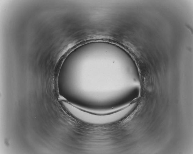 X0000097761165200803211708