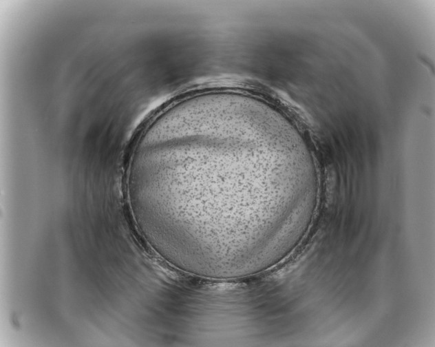 X0000097761166200803211708