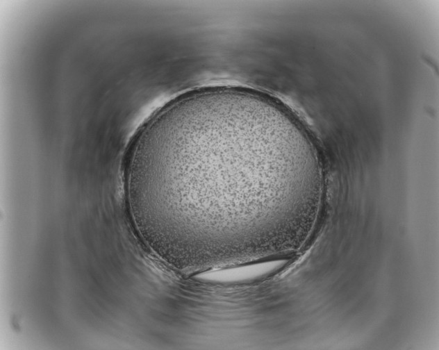 X0000097761167200803211708