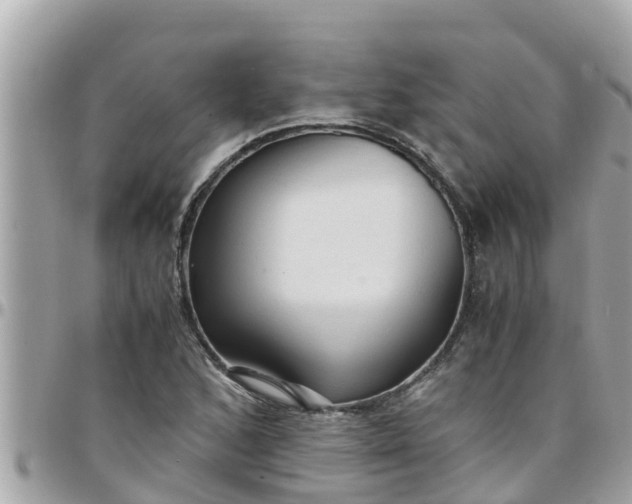 X0000097761168200803211708