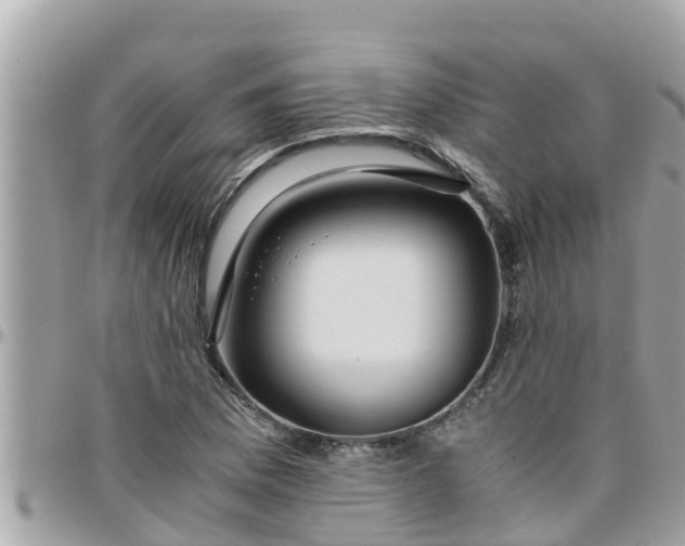 X0000097761169200803211708