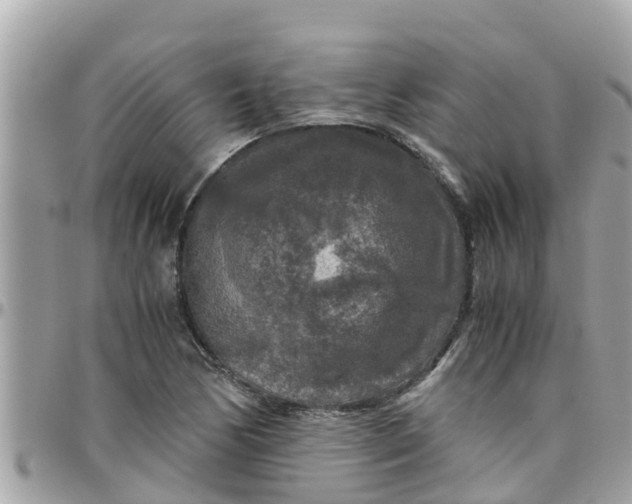 X0000097761170200803211708