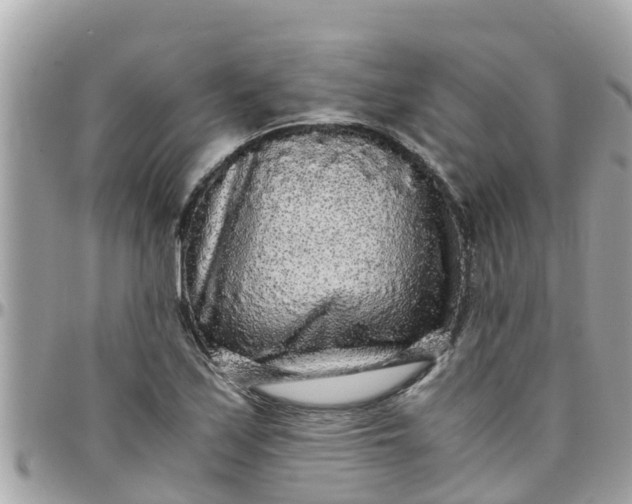 X0000097761171200803211708