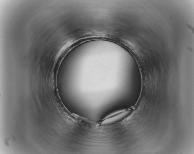 X0000097761172200803211708