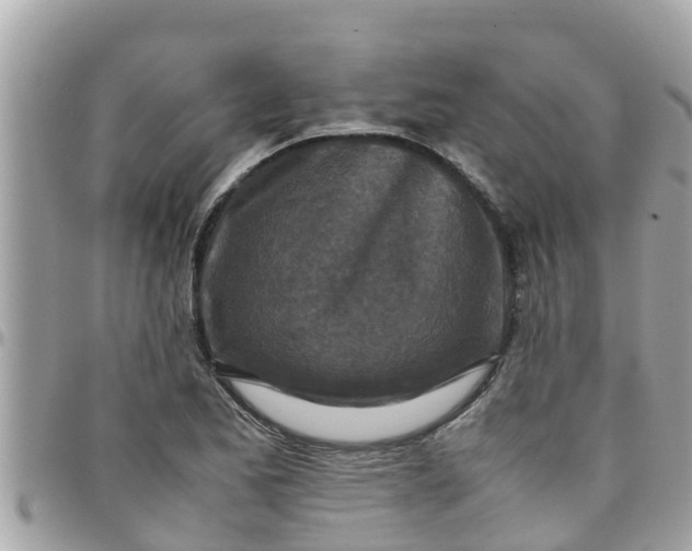 X0000097761173200803211708