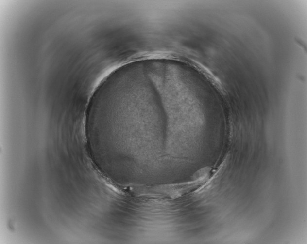 X0000097761174200803211708