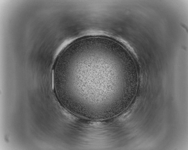 X0000097761175200803211708