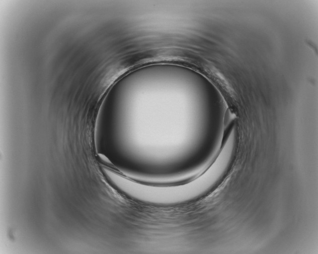 X0000097761177200803211708