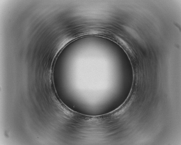 X0000097761178200803211708