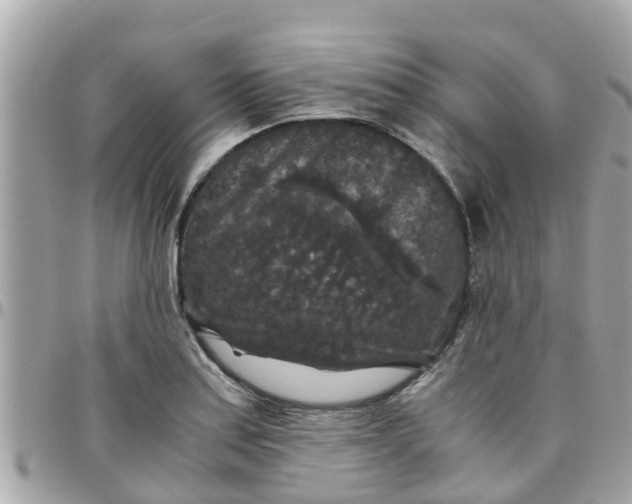 X0000097761179200803211708