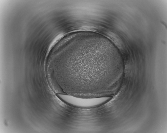 X0000097761180200803211708