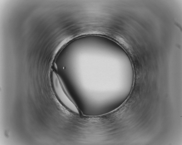 X0000097761181200803211707