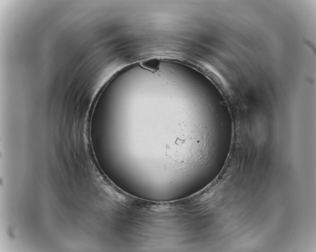 X0000097761182200803211707