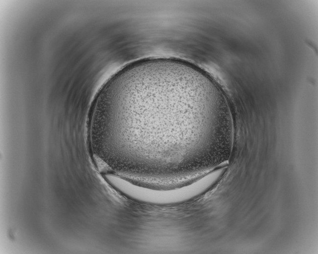 X0000097761183200803211707