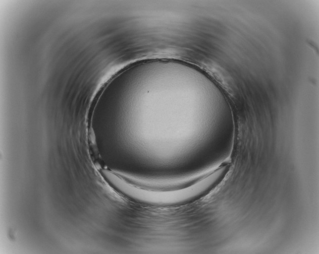 X0000097761184200803211707