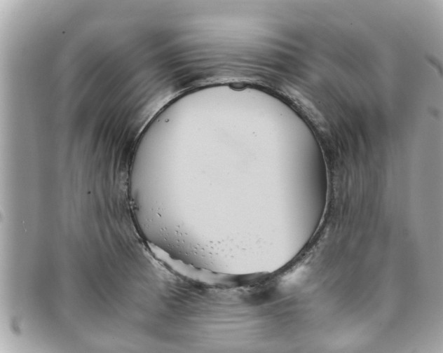 X0000097761185200803211707