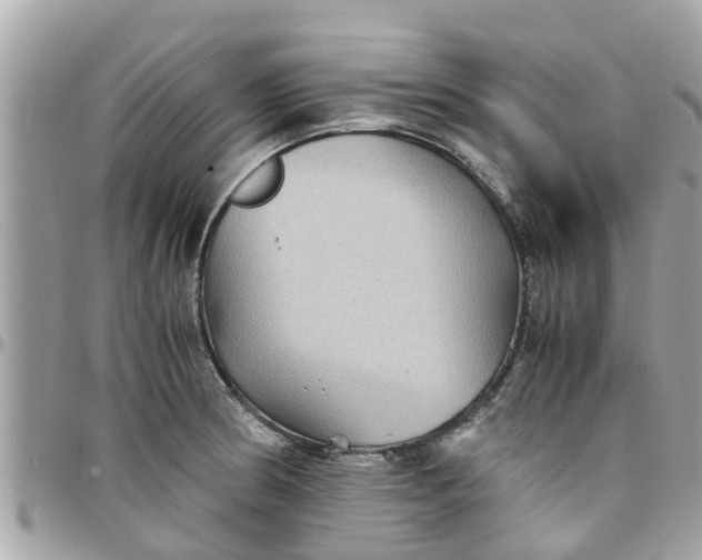 X0000097761186200803211707