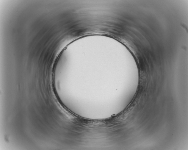 X0000097761187200803211707