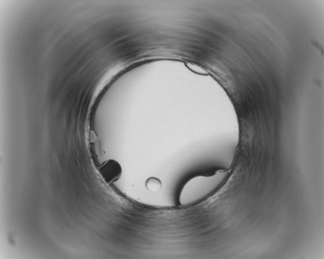 X0000097761188200803211707