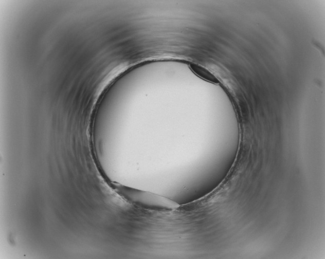 X0000097761189200803211707