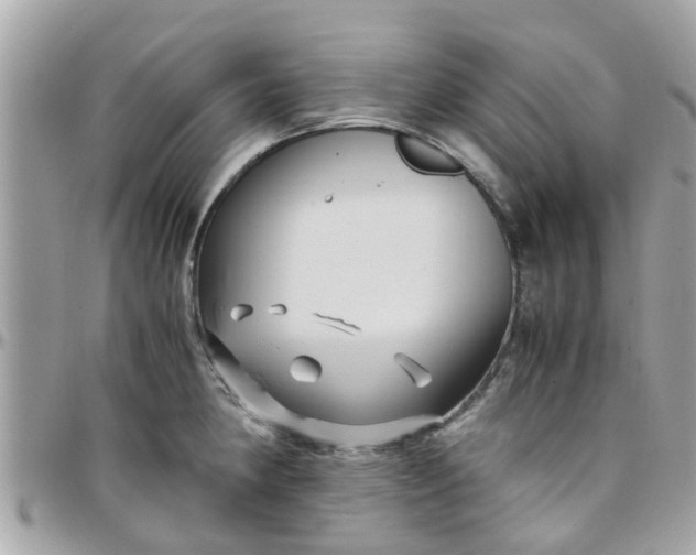 X0000097761190200803211707