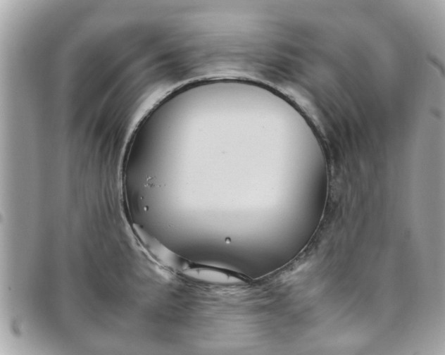 X0000097761191200803211707