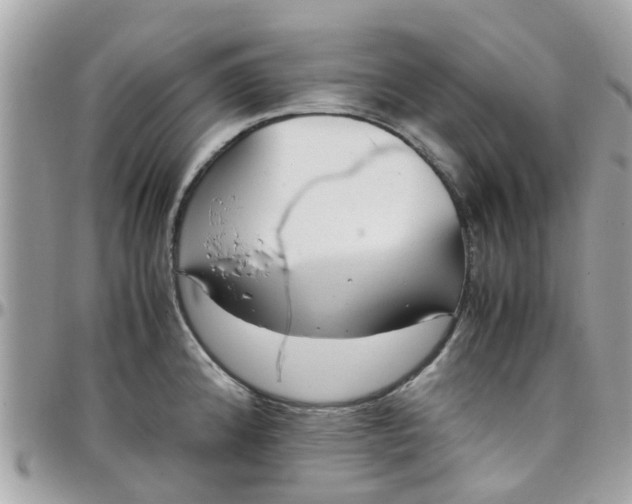 X0000097761192200803211707