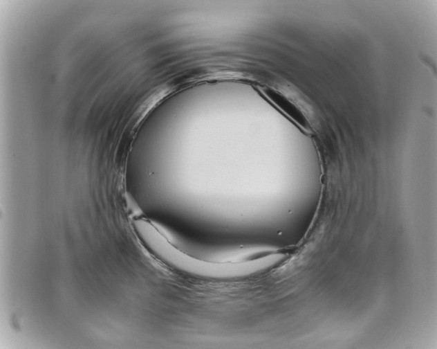 X0000097761193200803211707