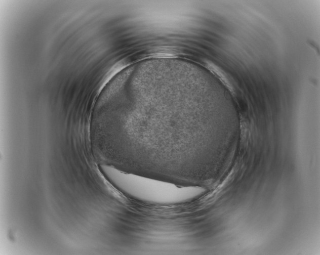 X0000097761194200803211707