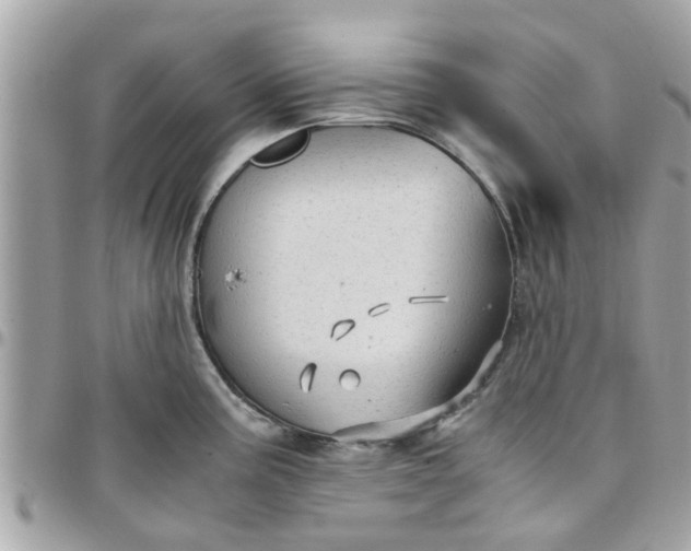 X0000097761195200803211707