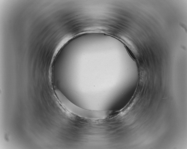 X0000097761196200803211707