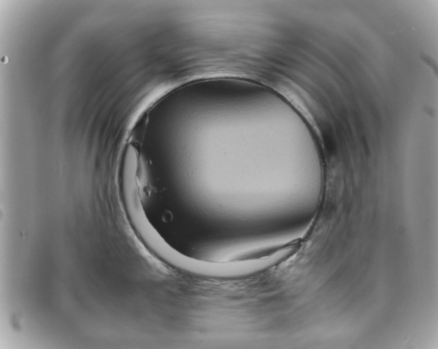 X0000097761197200803211707