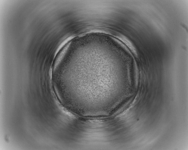 X0000097761198200803211707