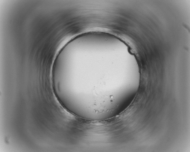 X0000097761199200803211707