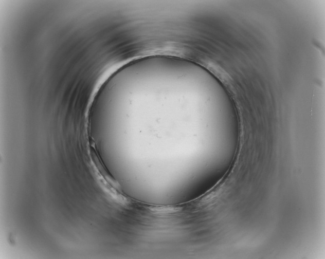 X0000097761200200803211707