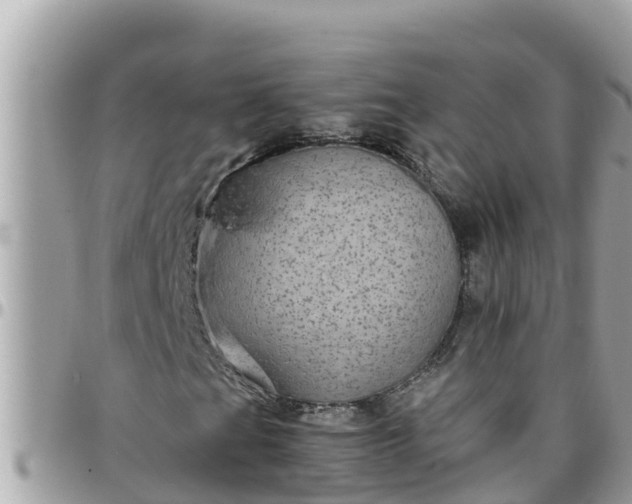 X0000097761201200803211707