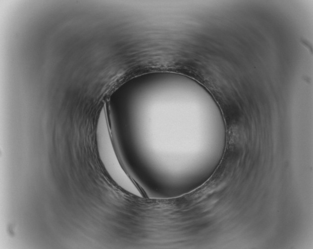 X0000097761202200803211707