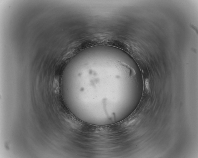 X0000097761203200803211707