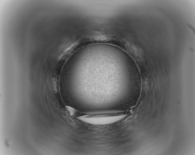 X0000097761205200803211707