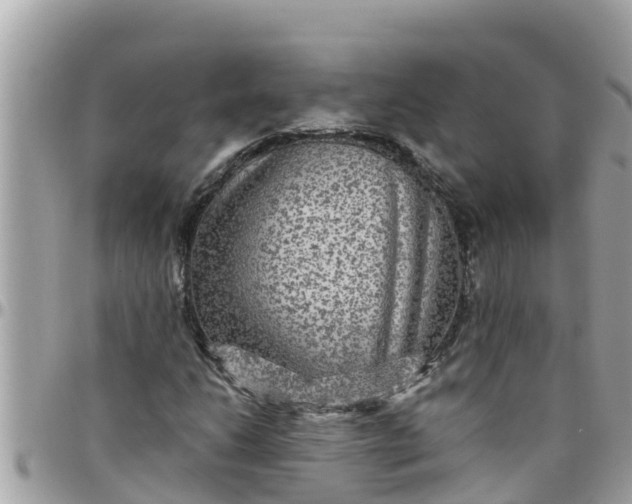 X0000097761206200803211707