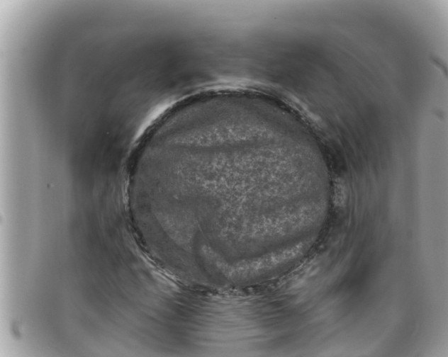 X0000097761208200803211707