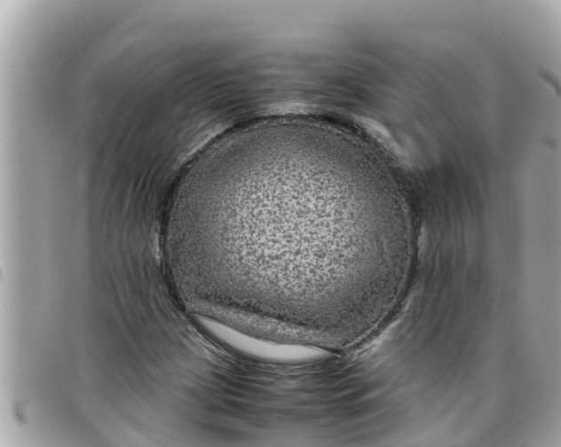 X0000097761209200803211707