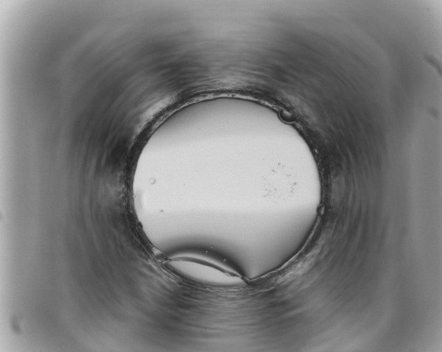 X0000097761210200803211707